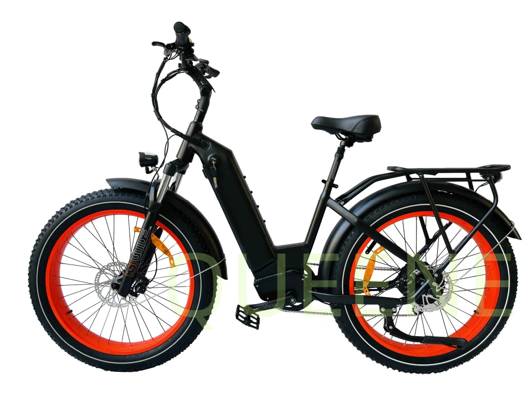 Queene Good Quality 1000W MID Drive E Bike Full Suspension Fat Tire Mountain Electric Bike E-Bike