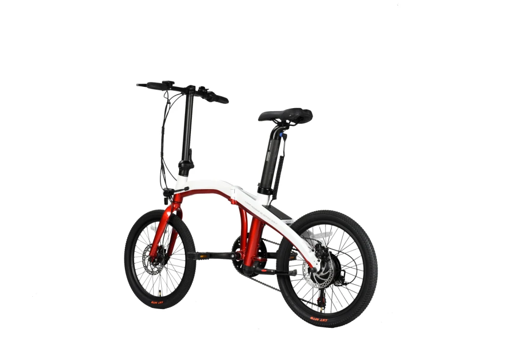 Female 20 Inch Hight Folding Electric City Bicycle with 250W Brushless Motor 160 Disc Brake