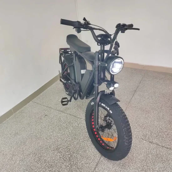 E Bike1000W Мотор с двойной батареей 48 В/22 Ач*2 Масляный тормоз Полная подвеска 55 км/ч Быстрый электрический толстый велосипед